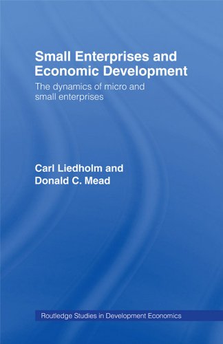 Small Enterprises and Economic Development: The Dynamics of Micro and Small Enterprises (Routledge Studies in Development Economics)