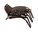 Parcelona France Paw Tortoise Shell Wide 2 1/4 inch Celluloid Side Slide In Yoga Hair Claw Clamp for Fine Hair