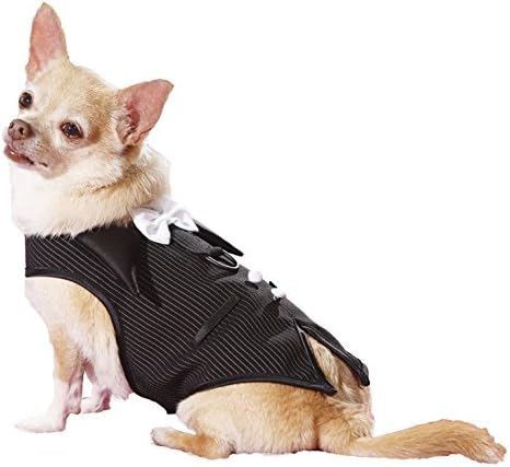 Hollywood Poochie Vest Pinstripe Stretch Vest, Large, Twill