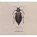 Entomology