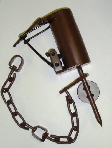 Z-Trap CrossFire Raccoon Trap, BROWN