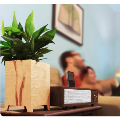 Fitzgerald Rectangle Planter Finish: Maple