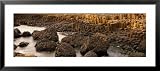 Giant's Causeway, Antrim Coast, Northern Ireland Places Framed Art Poster Print by Panoramic Images, 43x19