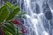 Kepirohi Waterfall, Pohnpei, Federated States of Micronesia , 144x96