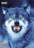 Wolf Discovery Channel Generic Poster