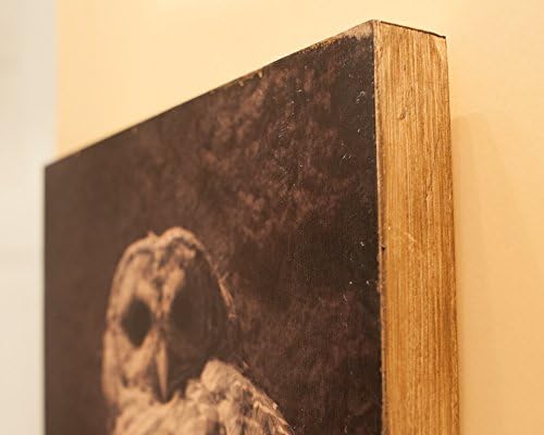 Wise: Infrared Photo Transfer Art on Wood 12x18