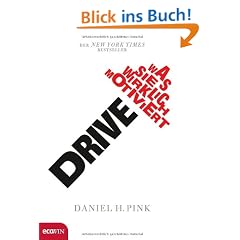 Drive: Was Sie wirklich motiviert