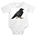 Onesie with vertebrate, perching, animal, avian, raven, bird, European, korp, smart