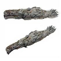 White Sage Smudge Stick Two Pack, 9
