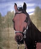 Horse Portrait | 100% Polyester Fleece Throw | 50 Inches by 60 Inches