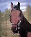Horse Portrait | 100% Polyester Fleece Throw | 50 Inches by 60 Inches