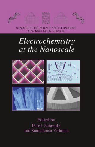 Electrochemistry at the Nanoscale (Nanostructure Science and Technology)