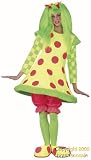 Adult's Lolli Clown Costume