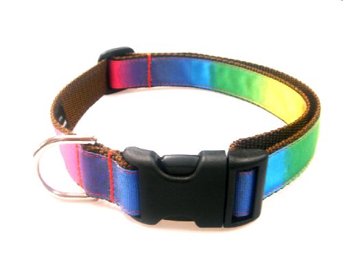 Large Rainbow Dog Collar: 1