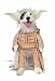 YodaTM Pet Costume S, M