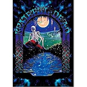 Grateful Dead ~ Dead Head ~ Jerry Garcia ~ Rare Poster Print ~ Scred Pool ~ Art By Richard Biffle ~ Skeleton Pond - Poster Print ~ Approx 19 X 27 Inches