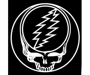 Grateful Dead Sticker ~White Vinyl Rub On Car Window Decal-Grateful Dead Steal Your Face Lightning