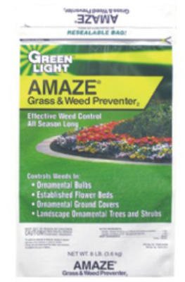 GREENLIGHT AMAZE - 8 OR 10#