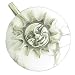 Positive Energy Happy Sun Protect Amulet White Howlite Pendant