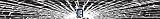 Detroit Tigers Shattered Auto Visor Decal