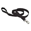Lupine 1" Black 6-Foot Dog Lead