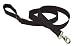 Lupine 1" Black 6-Foot Dog Lead Lupine 1" Black 6-Foot Dog Lead