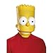 Disguise Men's Bart Adult Costume Mask