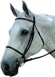 Collegiate Plain Raised Bridle - Horse Black