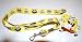 All Products : Sponge Bob Lanyard Key Chain Holder