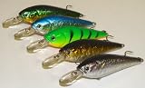 5 Custom Shad Lures - Plugs Crankbaits Bass Fishing Set L5AB