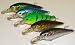 5 Custom Shad Lures - Plugs Crankbaits Bass Fishing Set L5AB