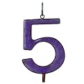 Glow-in-the-Dark House Number - 5