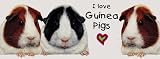 I Love Guinea Pigs Chunky Mug