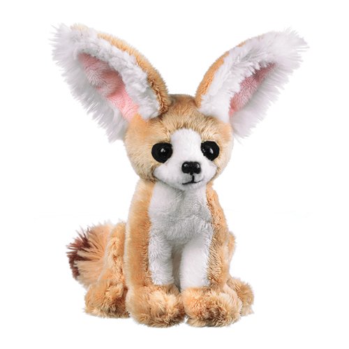Fennec Fox 8 41k4f2Bv1vL Fennec Fox 8