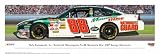 Dale Earnhardt Jr. 88 Panoramic Photo Print