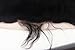 E-forest hair 8 inch Virgin 100% Brazilian Remy Human Hair 13X4