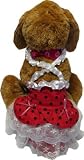 Pet Supplies : Black Polka Dot Dress--Red *Medium*