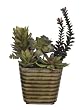 Artificial Succulent Garden