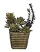 Artificial Succulent Garden