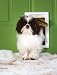 PetSafe Extreme Weather Per Door - Small