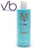 Hair Care by Moroccan Oil Moisture Repair Shampoo 250ml