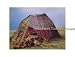 Model Tech Studios HO Scale Pre-Assembled Falling Down Abandoned Shack Kit