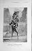 1909 Antique Photograph Rearing Horse Horsemanship
