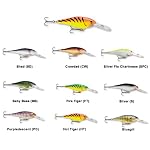 Bluegill (BG)