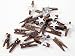 Mini Clothes Pins with Silver Star Embellishments - Package of 48