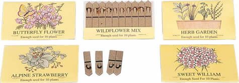 Childrens Toyshop  Toys : Assorted seed sticks