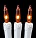 Novelty Lights 50 Feet 100 Bulb Incandescent Mini Light String, Amber with 6-Inch Spacing on White Wire, UL Listed Commercial Grade Indoor/Outdoor Mini Lights, Connectable End-to-End
