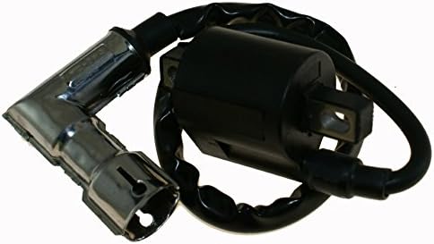 ChinaPartsToGo CP-0232 Ignition Coil: Fits Vertical Style Engines