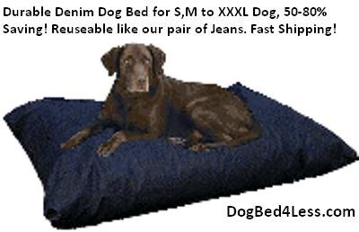 XL 50X30 Large Durable Tough Denim Jean Dog Bed Cover