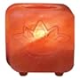 Ancient Secrets Himalayan Natural Rock Lotus Salt Lamps 220971